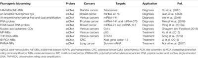 The Application of Nucleic Acid Probe–Based Fluorescent Sensing and Imaging in Cancer Diagnosis and Therapy